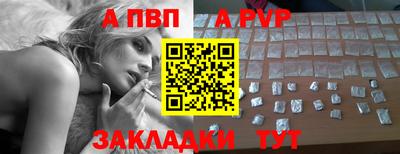 прущие грибы Кингисепп