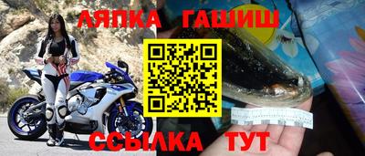 прущие грибы Кингисепп
