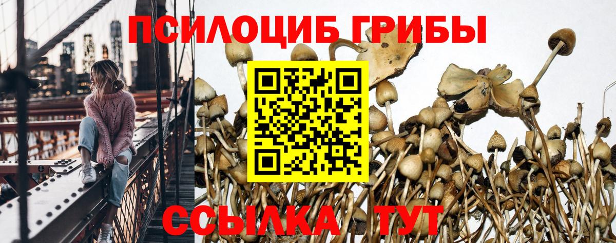 Псилоцибиновые грибы MAGIC MUSHROOMS Комсомольск-на-Амуре