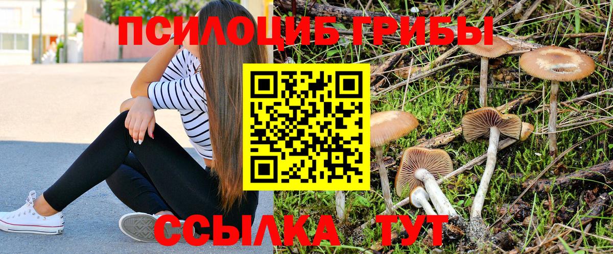 Комсомольск-на-Амуре  где найти   Псилоцибиновые грибы GOLDEN TEACHER  Вход с VPN  Галлюциногенные грибы мицелий 